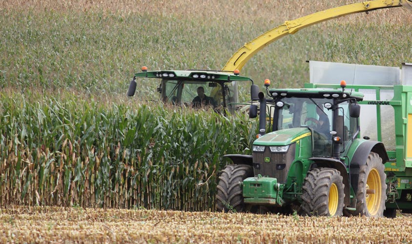 Le conservateur d’ensilage maïs : à quoi ça sert Le conservateur d’ensilage maïs : à quoi ça sert