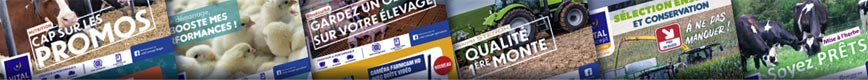 Sélections et promotions Vital Concept Agriculture Sélections et promotions Vital Concept Agriculture