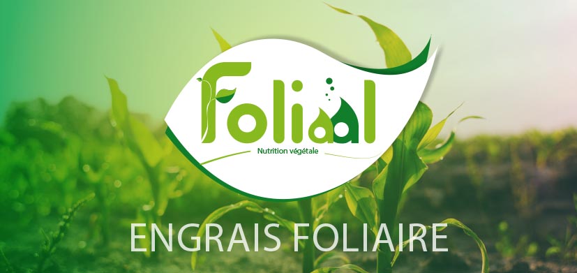 Engrais foliaire Foliaal Engrais foliaire Foliaal