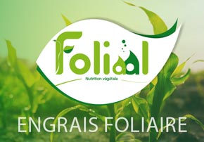 Engrais foliaire Foliaal Engrais foliaire Foliaal