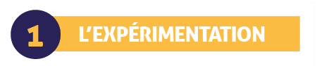 L'expérimentation L'expérimentation