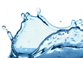 Traiter l'eau d'abreuvement en élevage